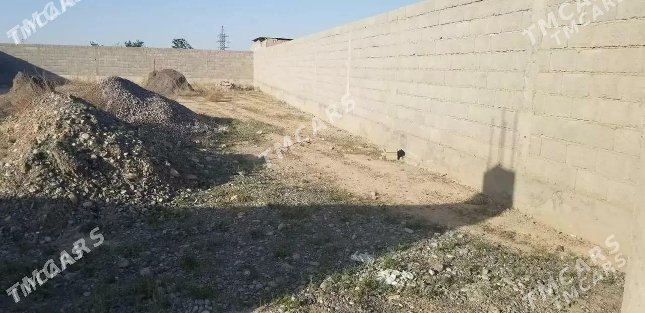 ucaska - Кака - img 3