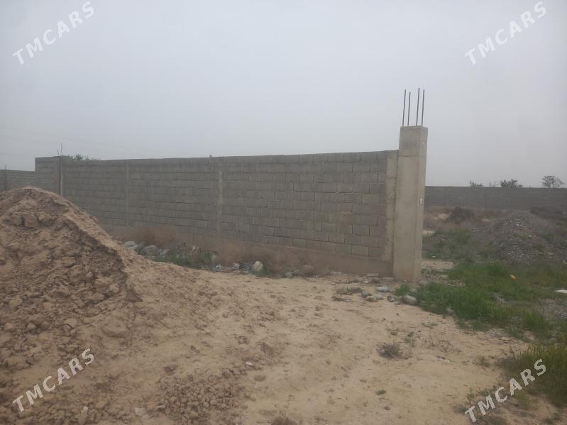 ucaska - Кака - img 2