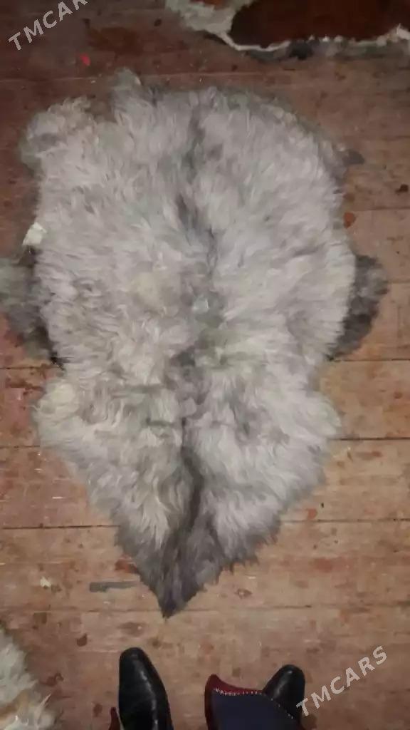 eýlenen goýun ýūñi - Ашхабад - img 2