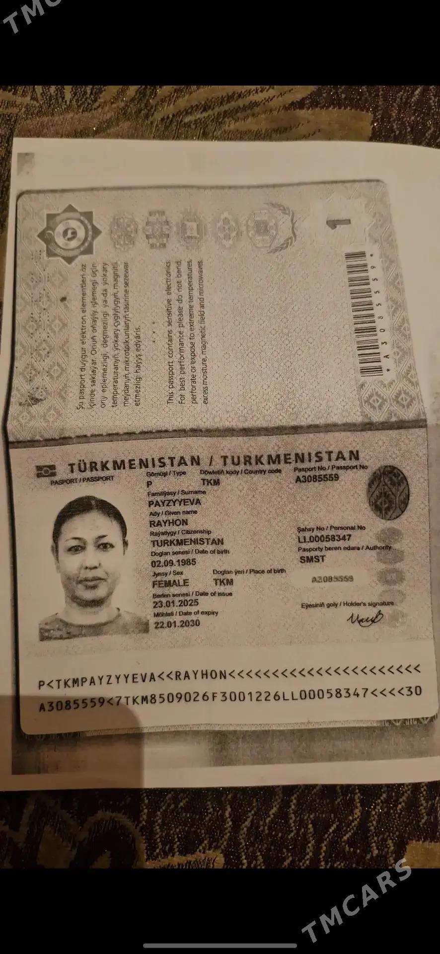 PAÝZIÝEWA RAÝHON - Койтендаг - img 2