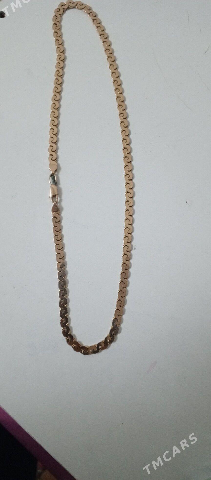 Altym zmeyka - Daşoguz - img 2