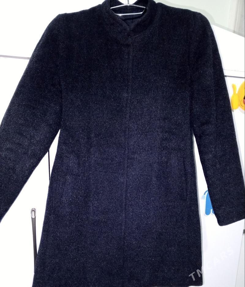 palto - Sakarçäge - img 2