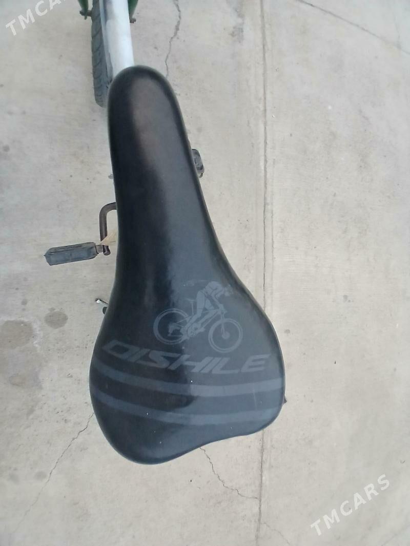 Tigir - Arzuw - img 4