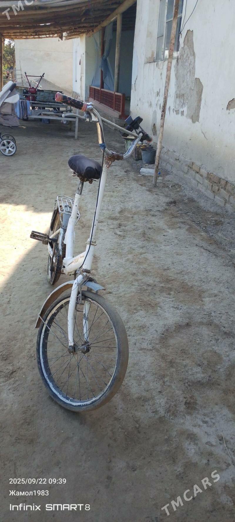 kama velli - Шабатский этрап - img 3