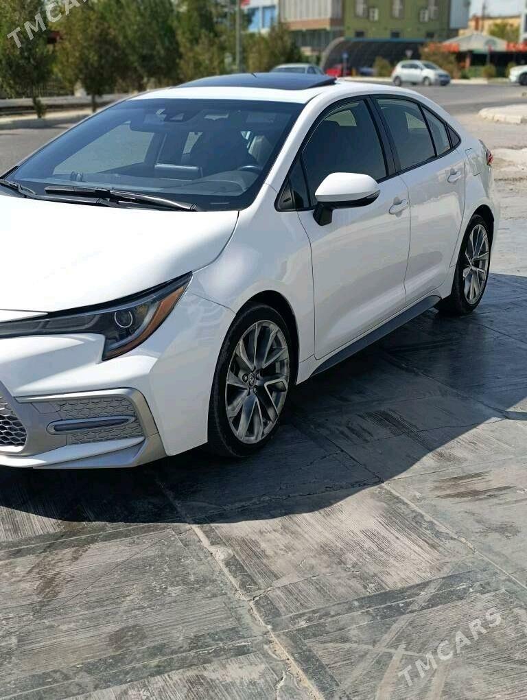 Toyota Corolla 2020 - 300 000 TMT - Mary - img 2