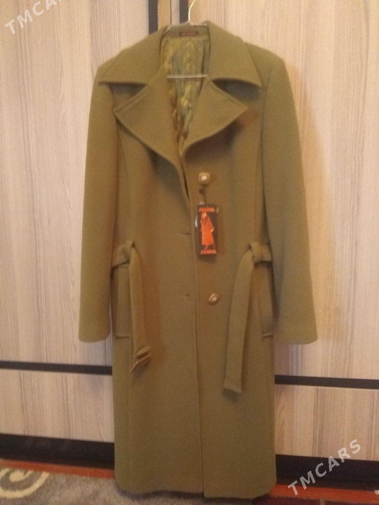 palto - Sakarçäge - img 1