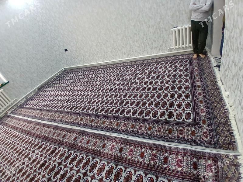 Oguzhan Haly kredit 1 ýyl - Kaka - img 9