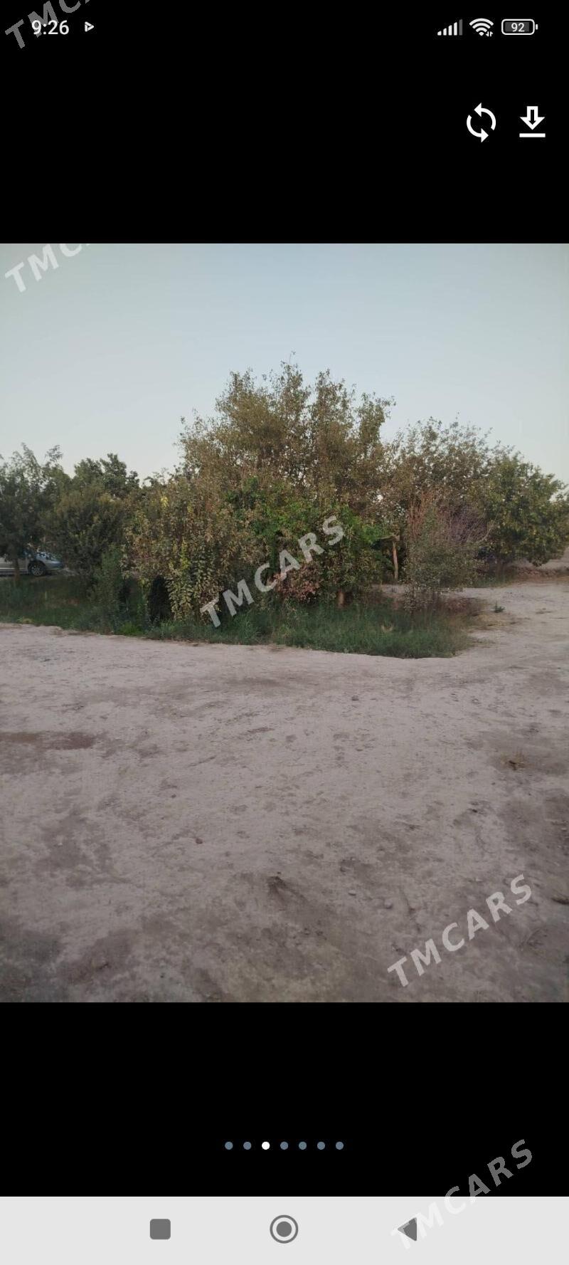 mellek..yer - Кака - img 7