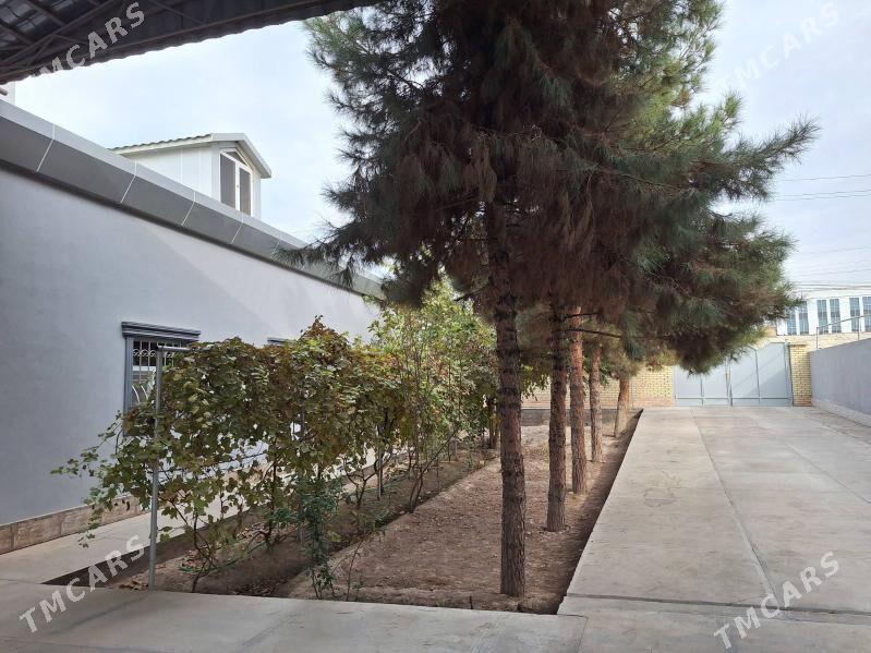 Satlyk Howly MES - Мары - img 2