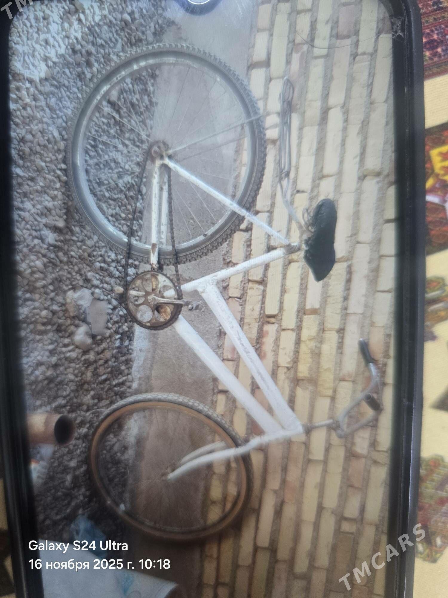 welsepit - Kaka - img 1