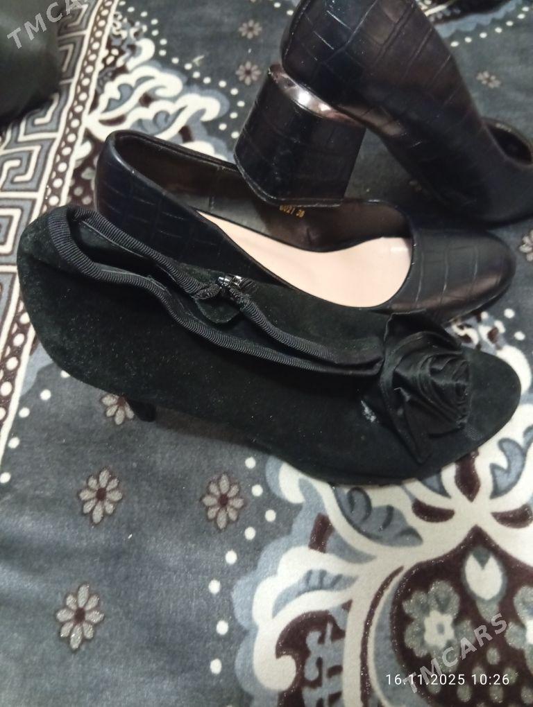 kowusler - Daşoguz - img 1