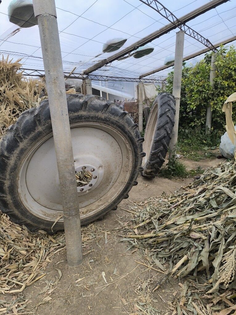 teker 7 000 TMT - Ашхабад - img 5