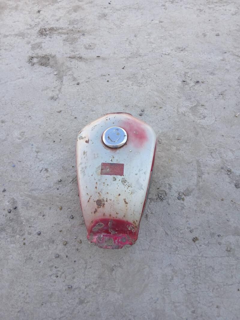 Mtr bak 250 TMT - Bäherden - img 2