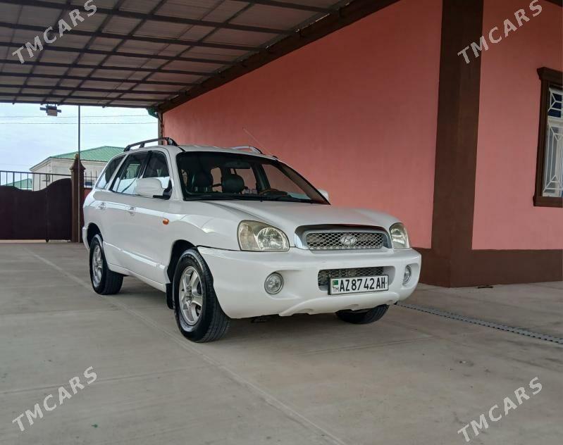 Hyundai Santa Fe 2003 - 120 000 TMT - Ак-Бугдайский этрап - img 4