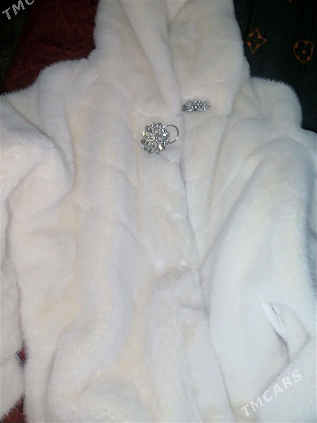 shuba - Türkmenbaşy - img 3