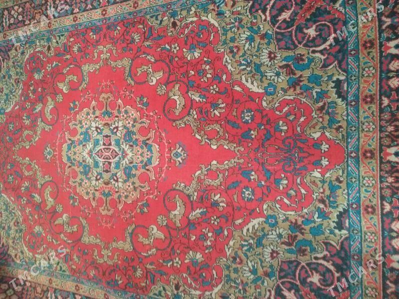 Haly - Parahat 4 - img 1