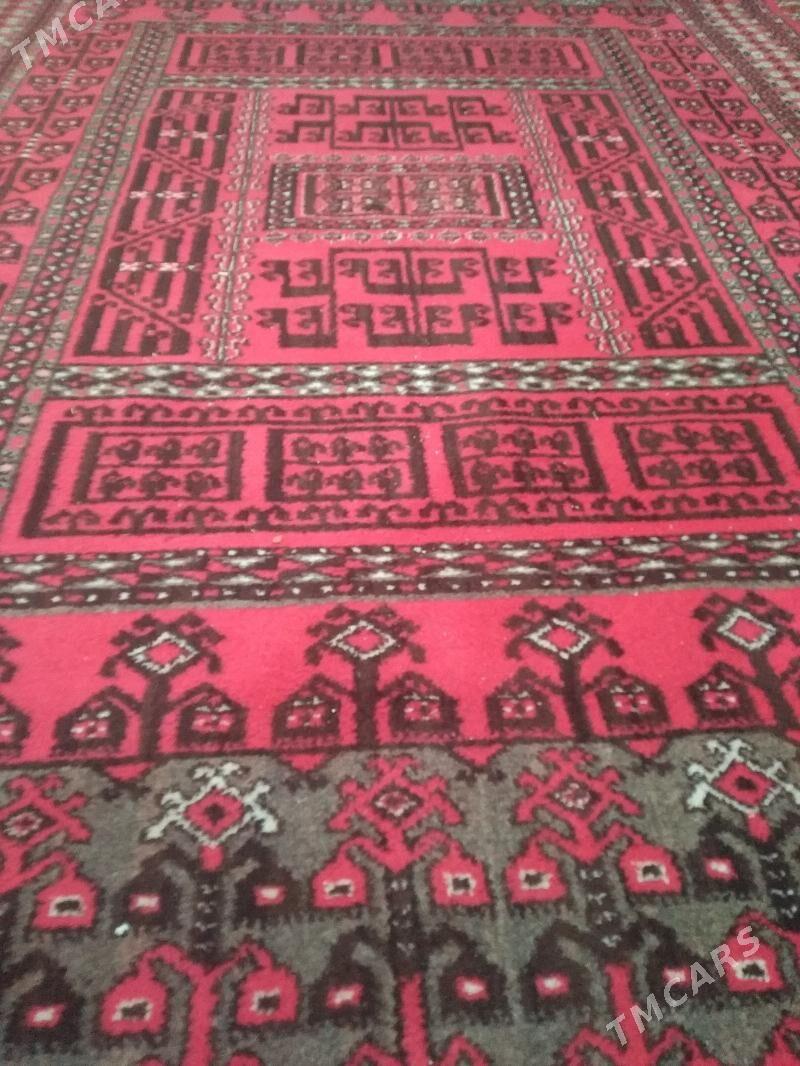 Haly - Parahat 4 - img 1