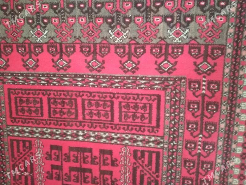 Haly - Parahat 4 - img 2