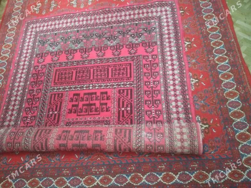 Haly - Parahat 4 - img 3