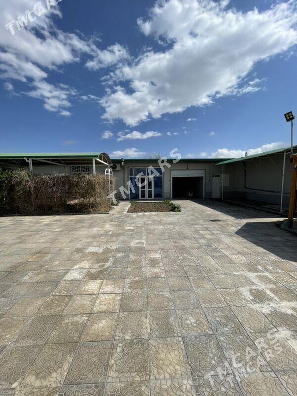 Anew Magtymguly plan - Änew - img 5