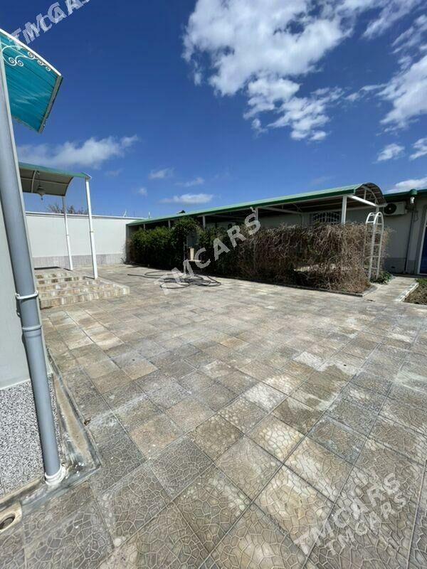 Anew Magtymguly plan - Änew - img 4