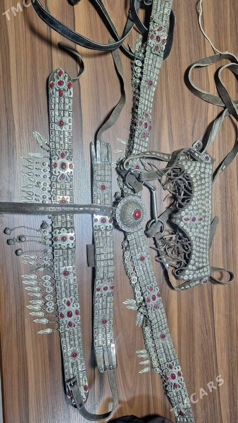 at șaýsepi - Kaka - img 3