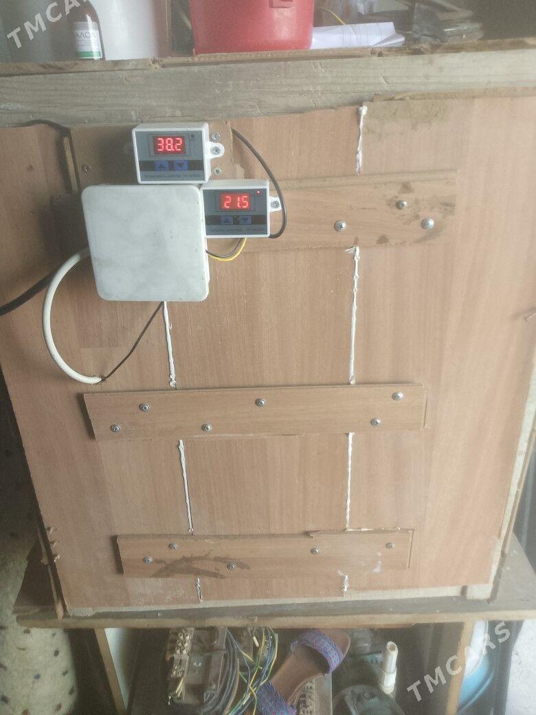 Inkibator - Ашхабад - img 1