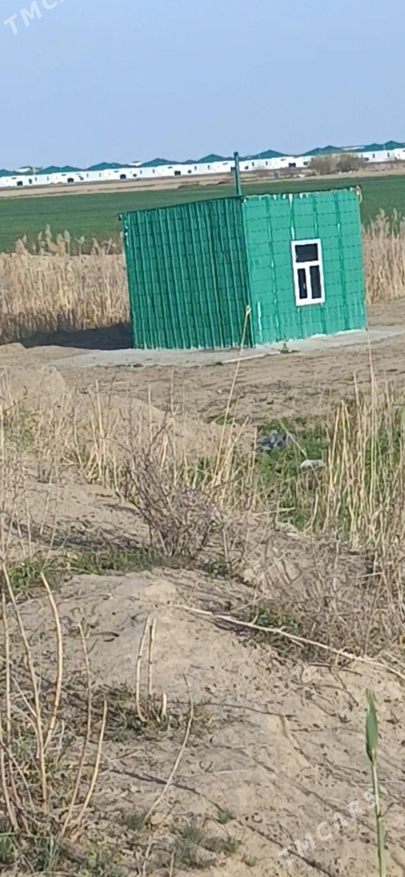 Yoranja yer - Änew - img 2