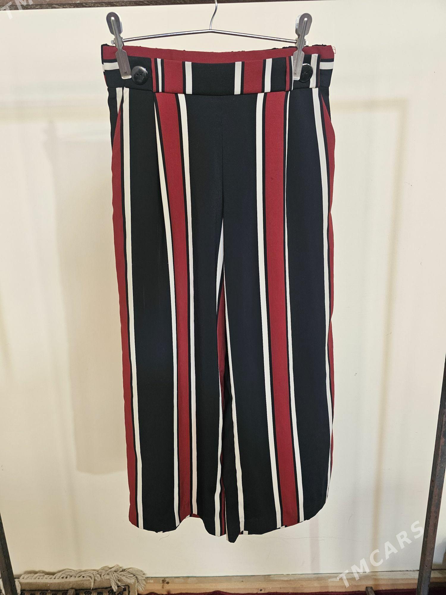 jynsy lasina koza - Türkmenabat - img 5