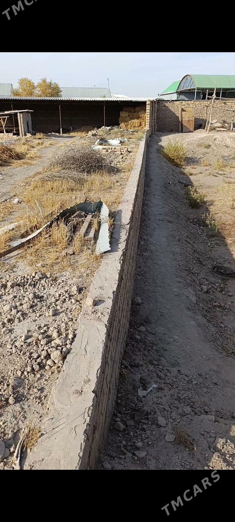 Satlyk 2 plan jay - Hojambaz - img 4