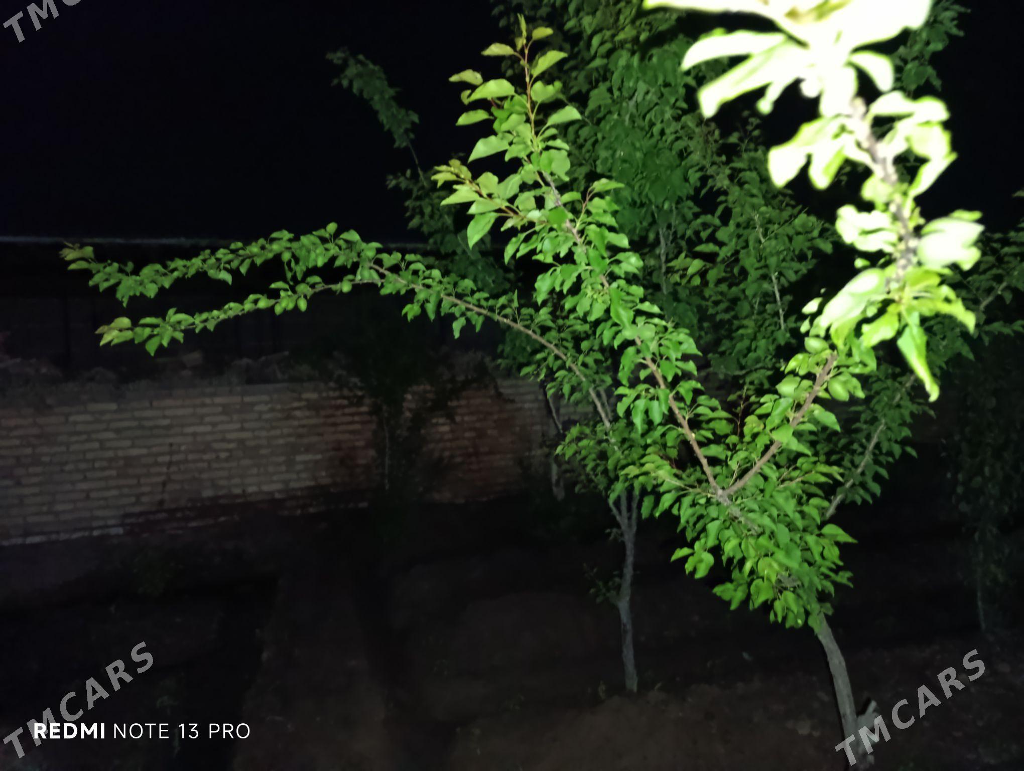 Satlyk 2 plan jay - Hojambaz - img 7