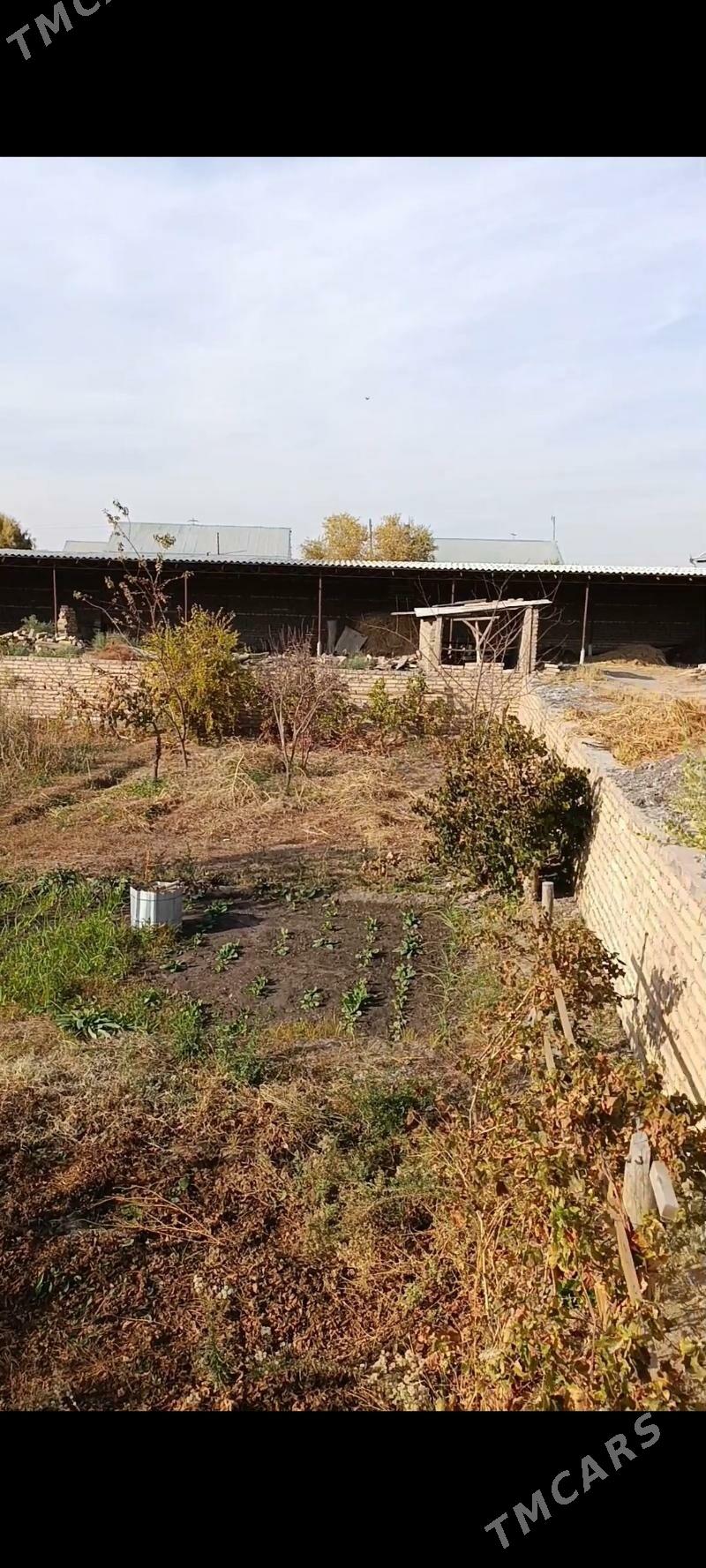 Satlyk 2 plan jay - Hojambaz - img 5