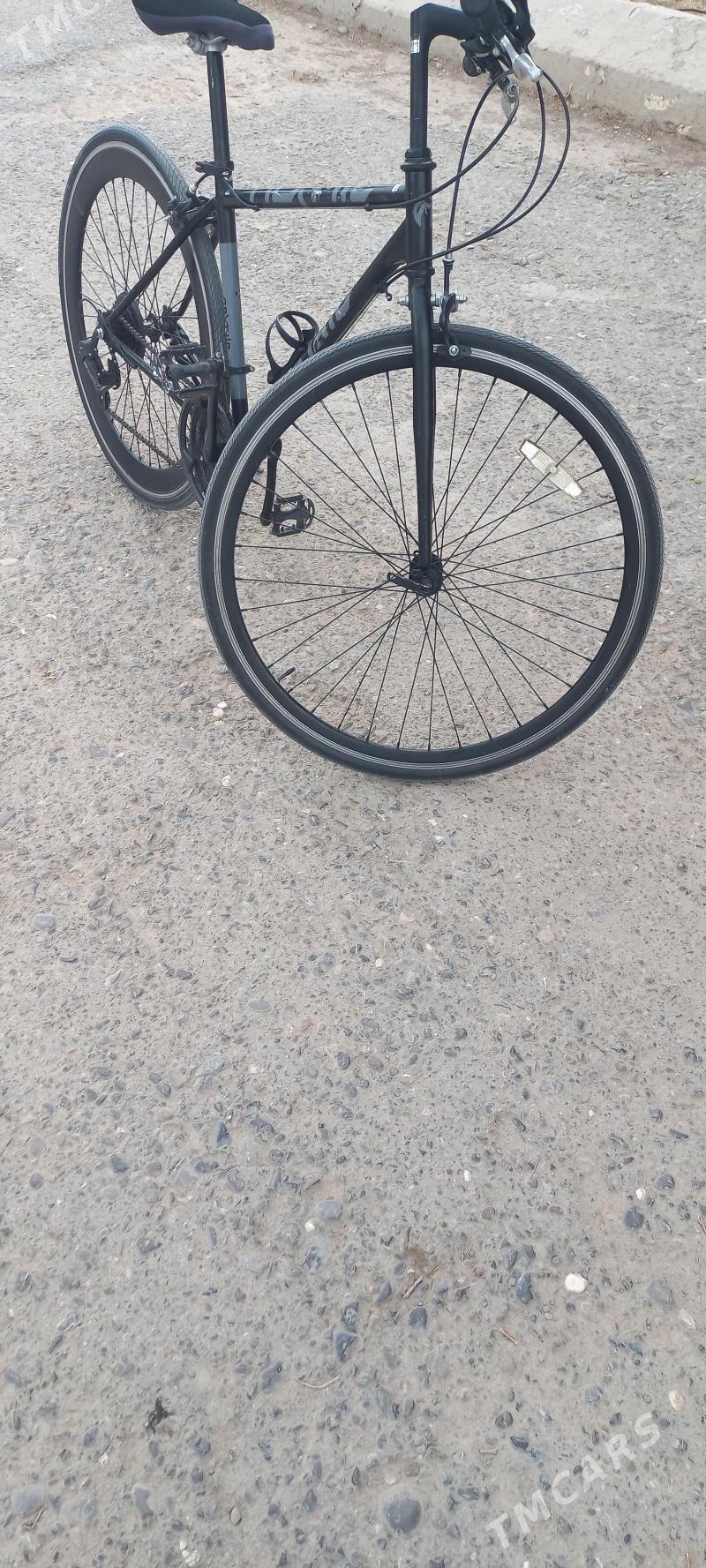 Tigir - Бузмеин - img 1