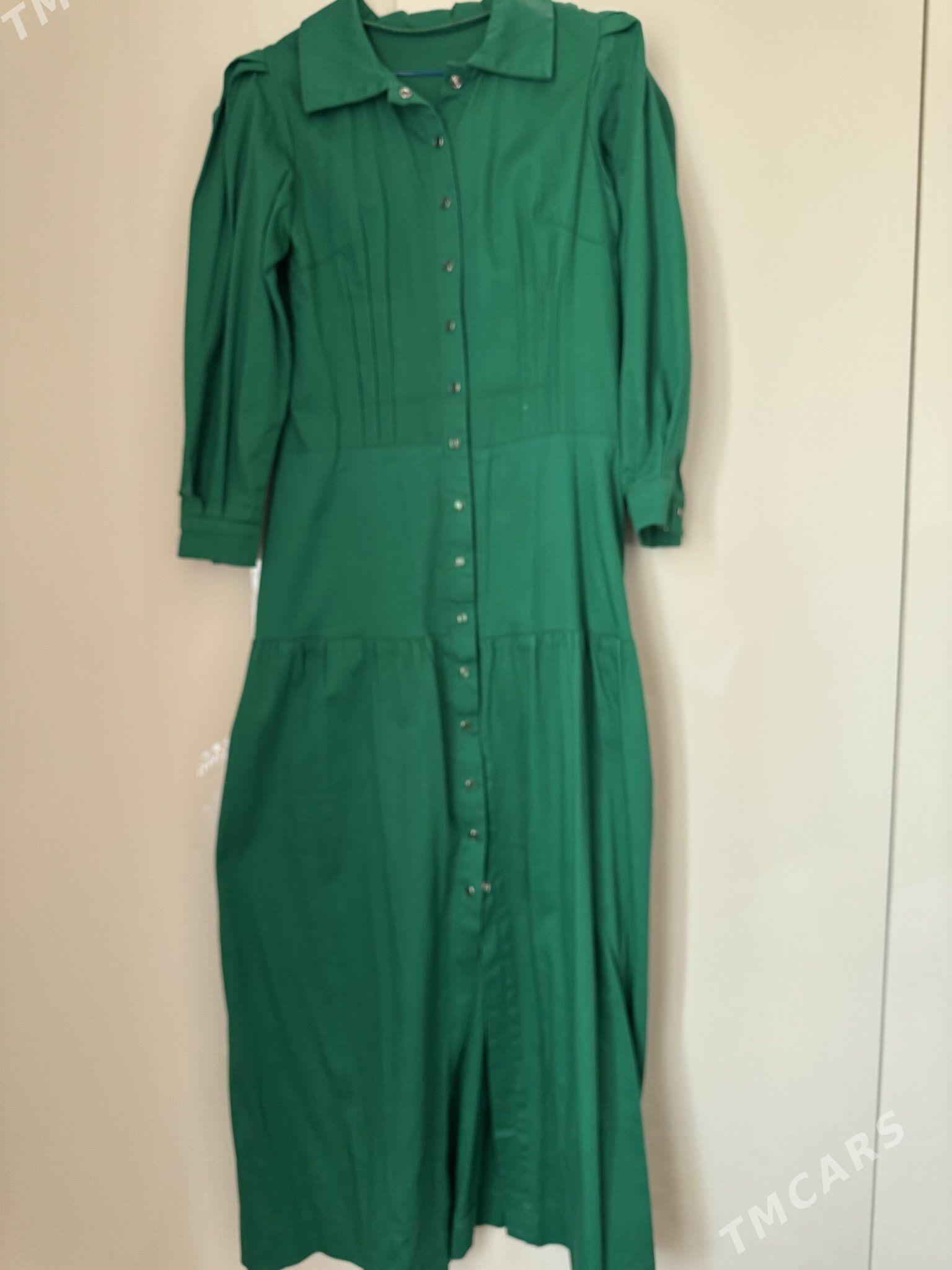 usti gulli sifon,  Promod koyn - Aşgabat - img 3