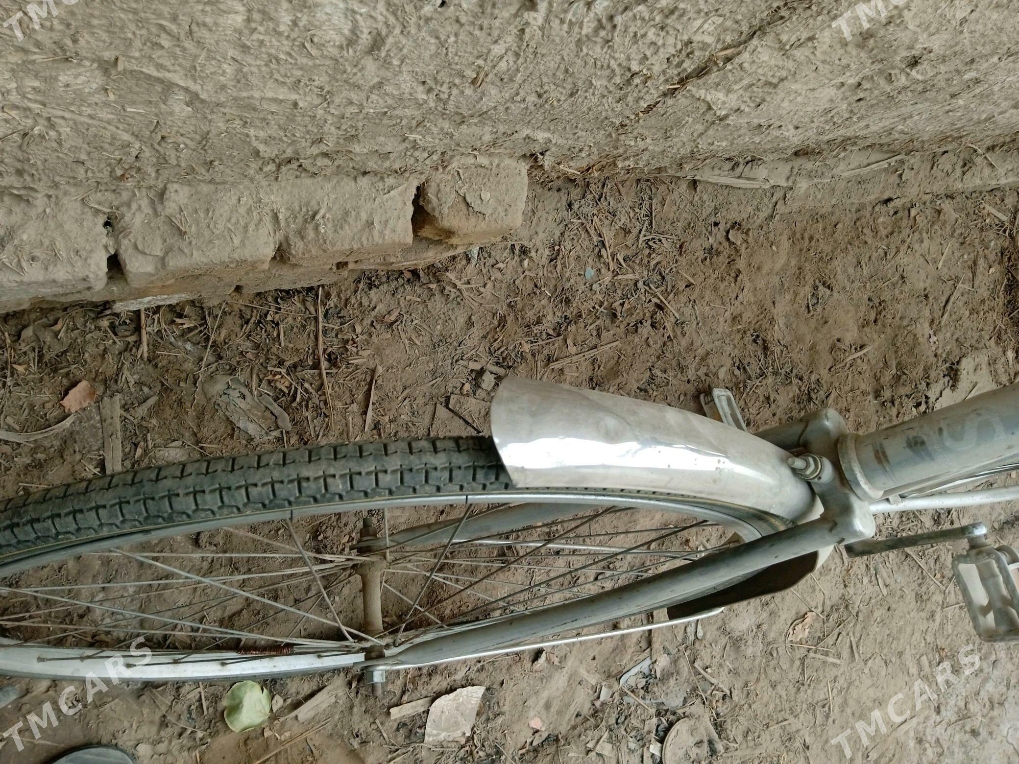 27 Lik - Şabat etr. - img 2