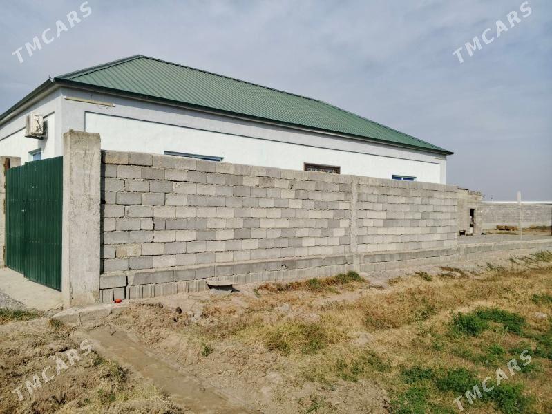 Gypjak 12.5sotak - Кипджак - img 5