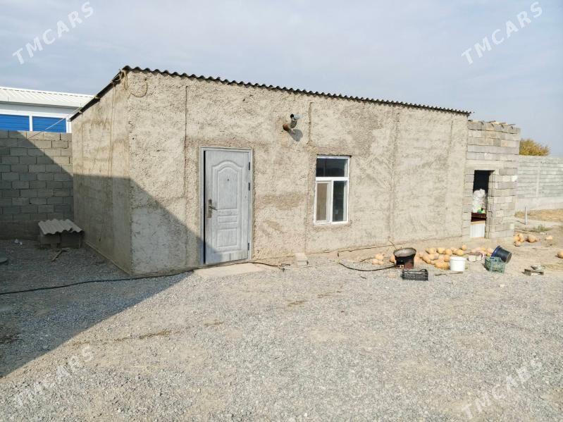 Gypjak 12.5sotak - Кипджак - img 4