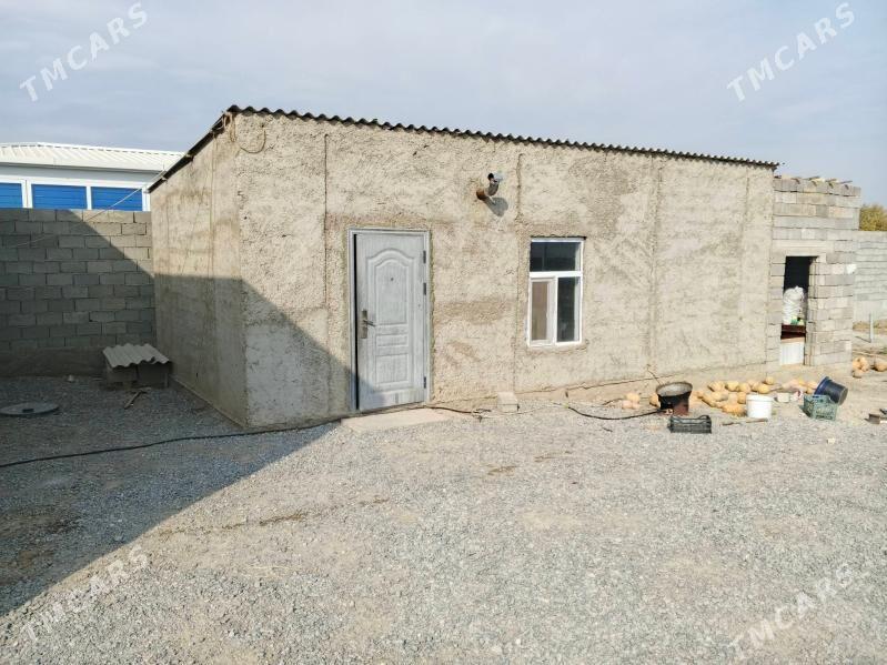 Gypjak 12.5sotak - Кипджак - img 3