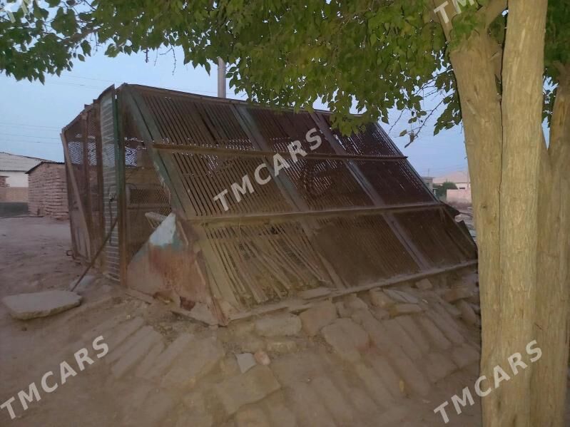 towuk ketek - Babadaýhan - img 2