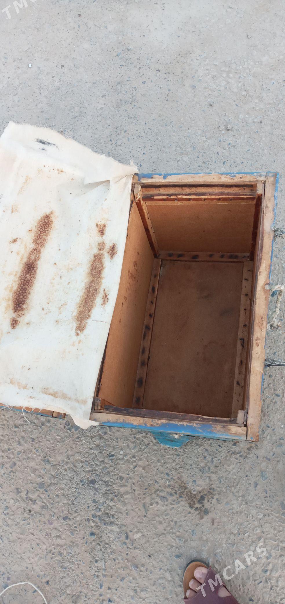 Bal ary enjamlary - Mary - img 2