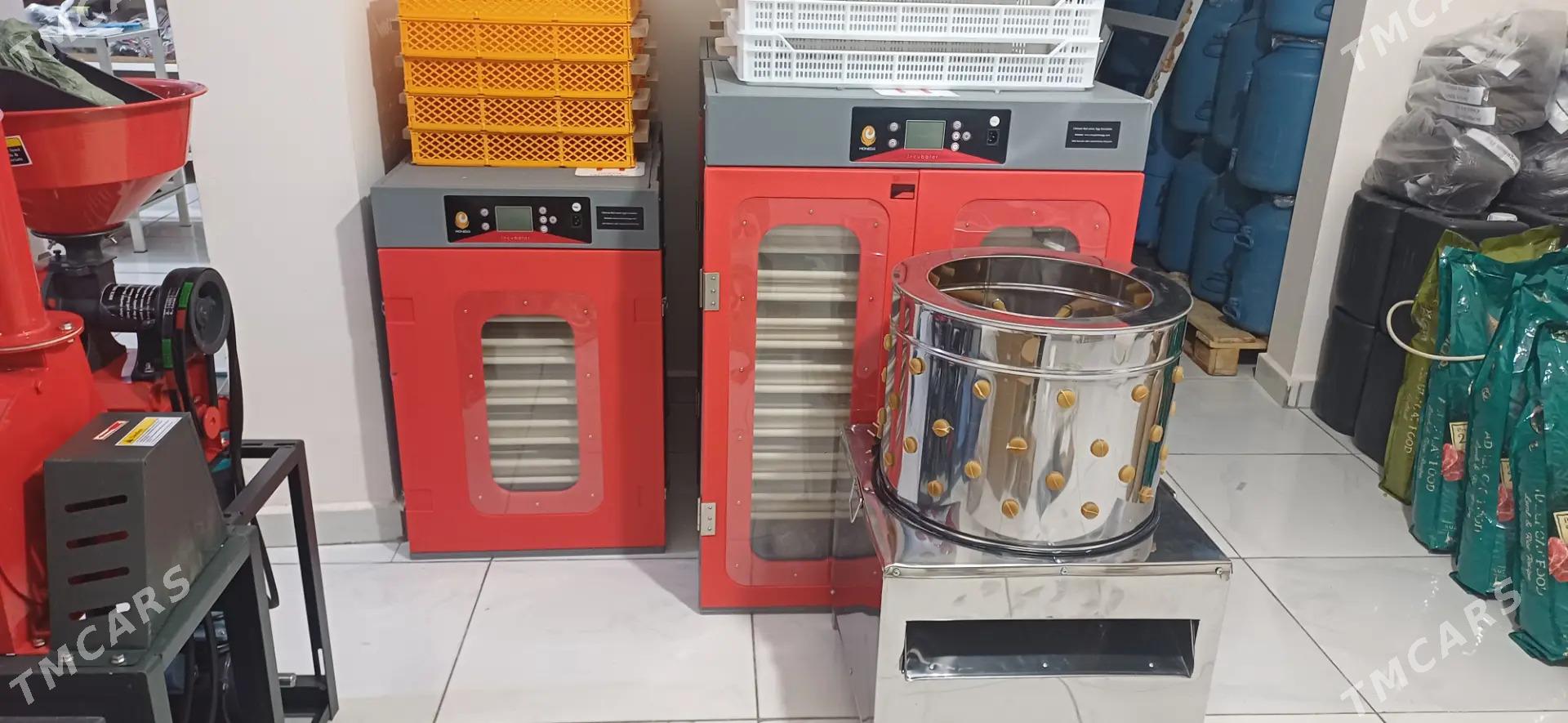 inkubator - Türkmenabat - img 5