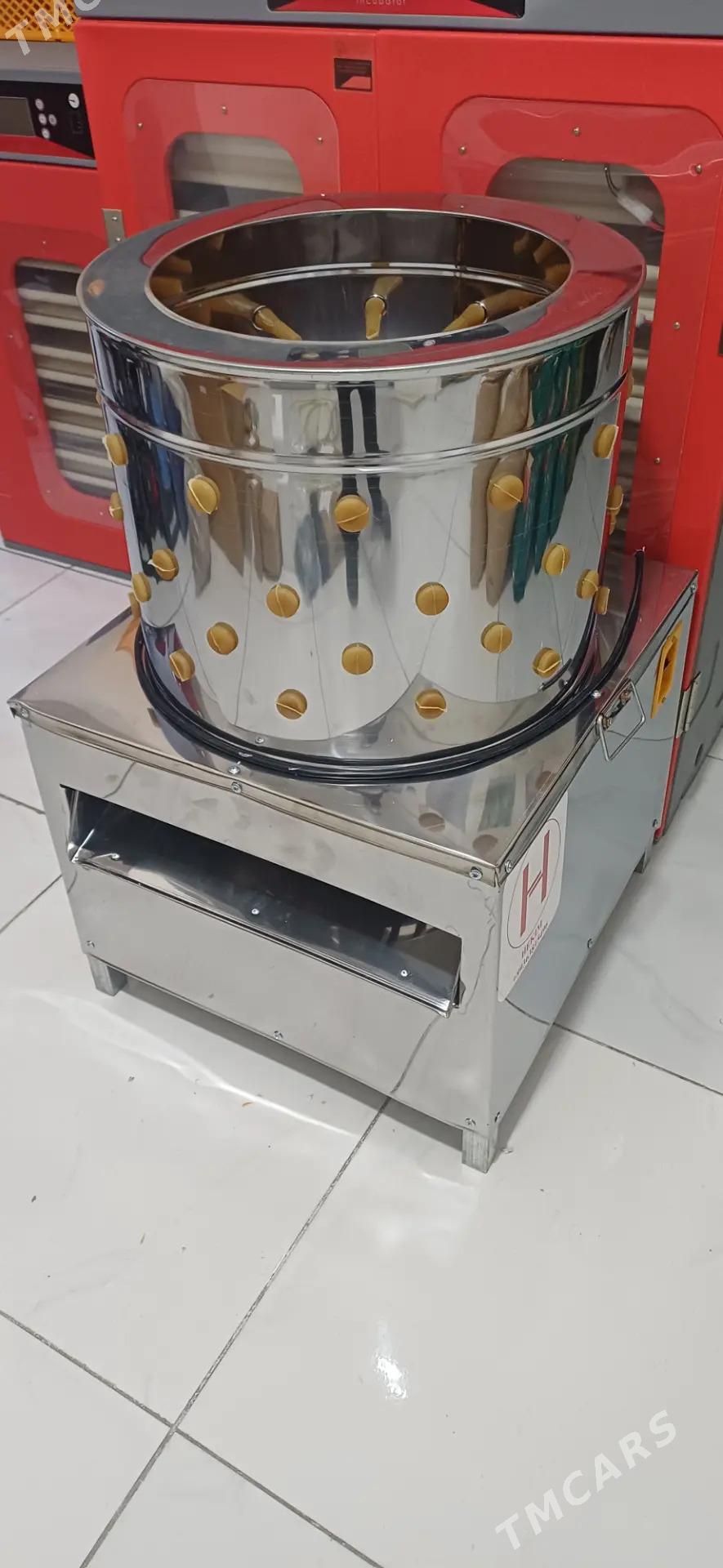 inkubator - Türkmenabat - img 3