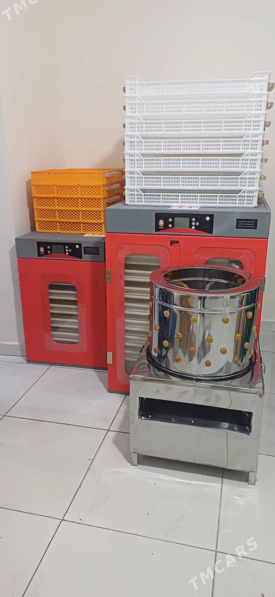 inkubator - Türkmenabat - img 1