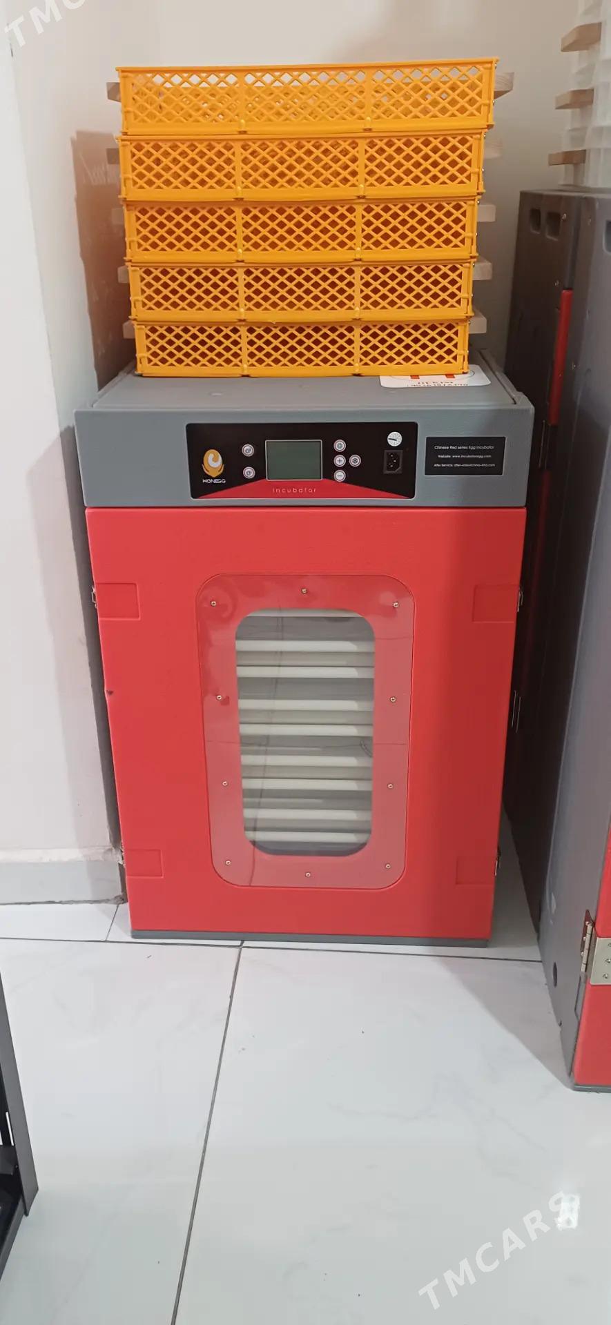 inkubator - Türkmenabat - img 4