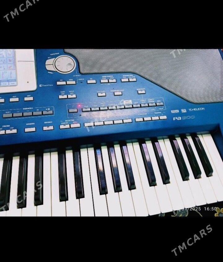 Korg pa 800 - Ашхабад - img 2