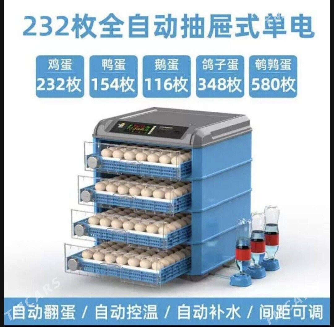 Inkubator - Гёкдепе - img 7