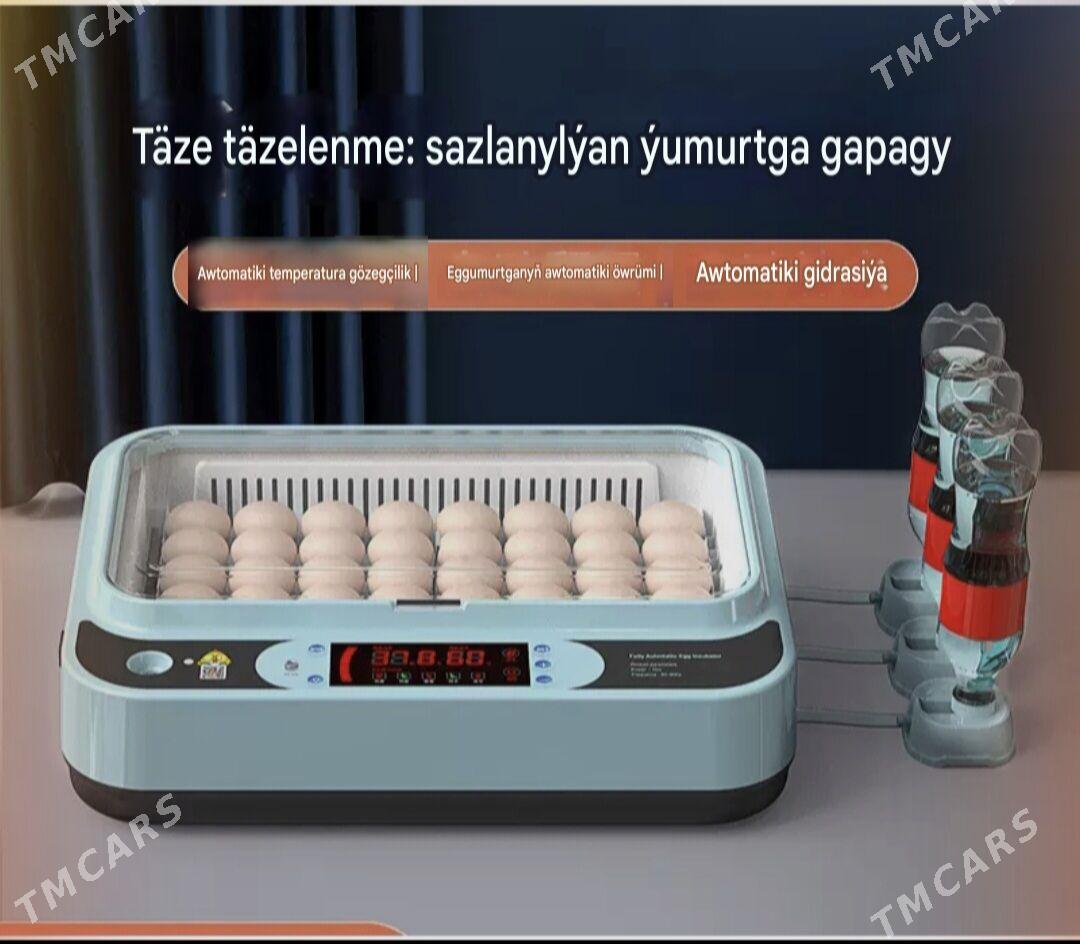 Inkubator - Гёкдепе - img 6