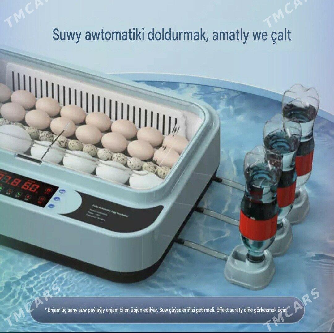 Inkubator - Гёкдепе - img 4