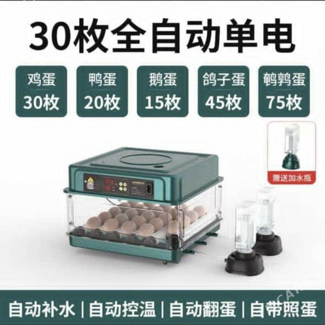 Inkubator - Гёкдепе - img 3