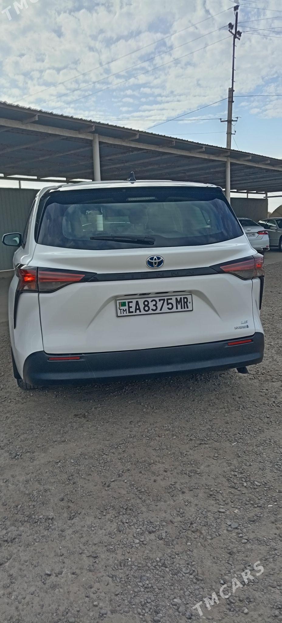 Toyota Sienna 2021 - 480 000 TMT - Mary - img 3